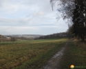 Rundwanderung_Hohensyburg_16