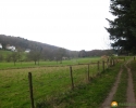 Rundwanderung_Hohensyburg_18