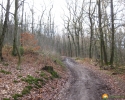 Rundwanderung_Hohensyburg_19