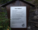 Rundweg-Burg-Grenzau-10