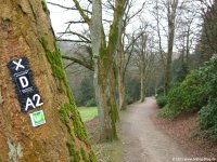 sauerland-waldroute01