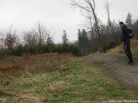 sauerland-waldroute03