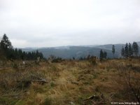 sauerland-waldroute05