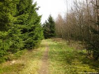sauerland-waldroute11