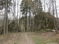 sauerland-waldroute12