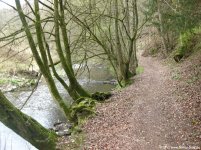 sauerland-waldroute16