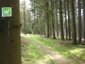 sauerland-waldroute09