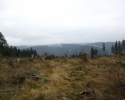 sauerland-waldroute05