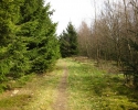 sauerland-waldroute11