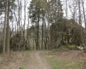 sauerland-waldroute12