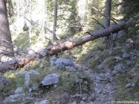 img_3690