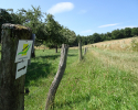 Spessartbogen-Etappe1-08
