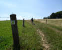 Spessartbogen-Etappe1-09