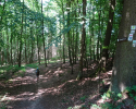 Spessartbogen-Etappe1-16