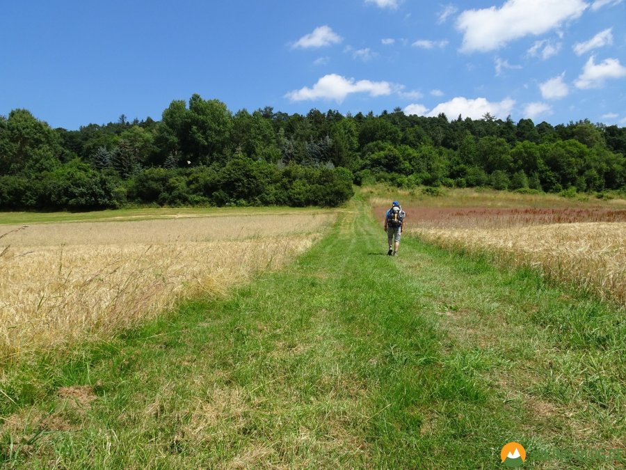 Spessartbogen-Etappe2-09