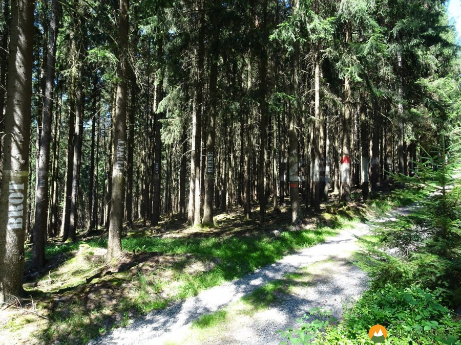 Spessartbogen-Etappe2-13