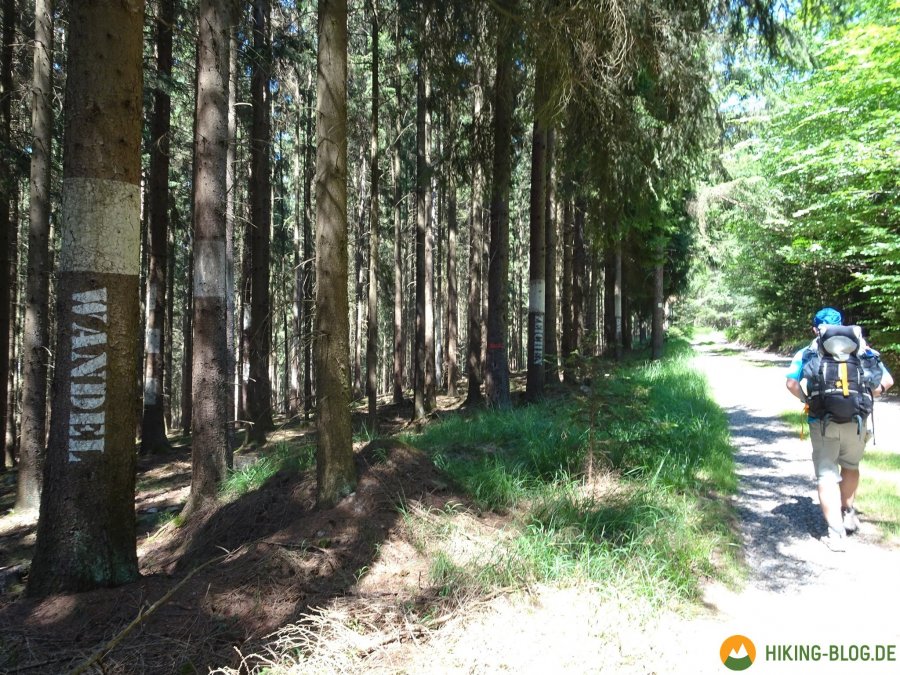 Spessartbogen-Etappe2-14