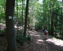 Spessartbogen-Etappe2-06