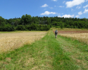 Spessartbogen-Etappe2-09