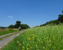 Spessartbogen-Etappe2-11
