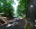 Spessartbogen-Etappe2-12