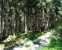 Spessartbogen-Etappe2-13
