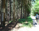 Spessartbogen-Etappe2-14