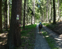 Spessartbogen-Etappe2-15