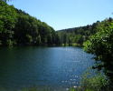 Spessartbogen-Etappe3-05