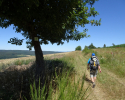 Spessartbogen-Etappe3-13