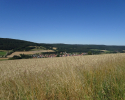 Spessartbogen-Etappe3-14