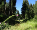 Spessartbogen-Etappe3-16