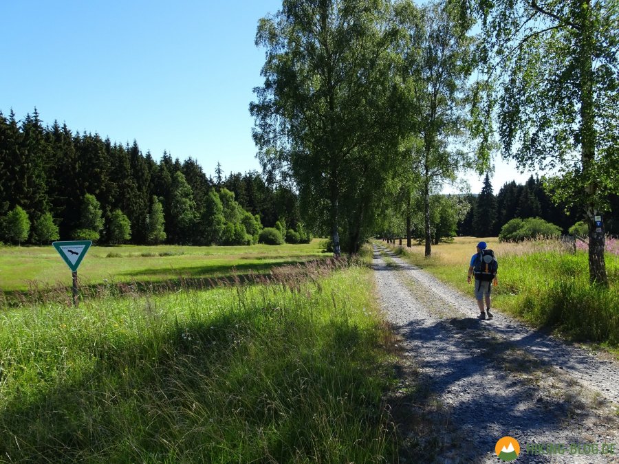 Spessartbogen-Etappe4-04