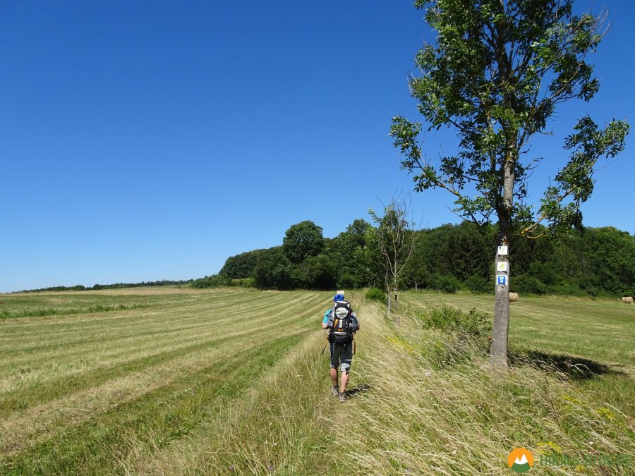 Spessartbogen-Etappe4-08