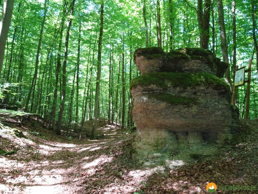 Spessartbogen-Etappe4-11