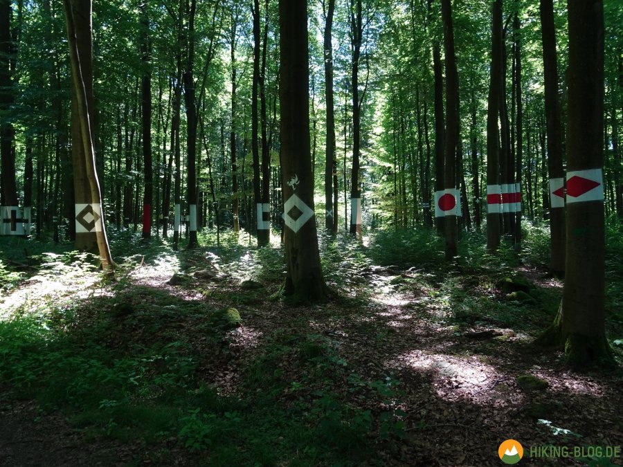 Spessartbogen-Etappe4-12