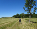 Spessartbogen-Etappe4-08