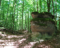 Spessartbogen-Etappe4-11