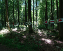 Spessartbogen-Etappe4-12