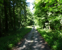 Spessartbogen-Etappe4-16