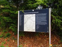 Steigerpfad-03