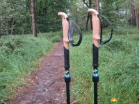 SWIX-Sonic-X-Trail-Carbon-14