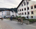 Tannheimer-Tal-05