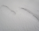 The_North_Face_Chilkat_2_Winterstiefel_14.jpg
