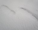The_North_Face_Chilkat_2_Winterstiefel_14.jpg