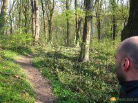 Trailrunning_03