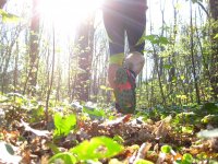 Trailrunning_09