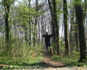 Trailrunning_07