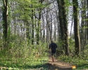 Trailrunning_08