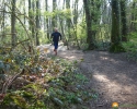 Trailrunning_11